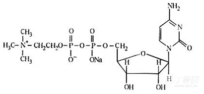 胞磷胆碱钠注射液(山东华鲁)