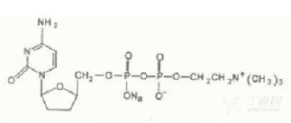 胞磷胆碱钠注射液(黑龙江多多)
