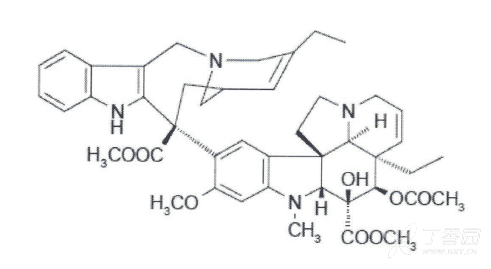 诺维本(酒石酸长春瑞滨软胶囊)