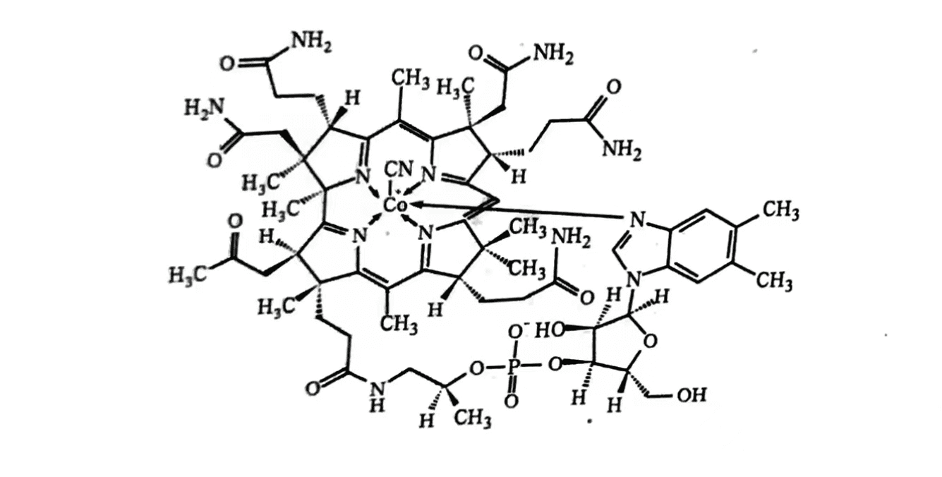 韩都(维生素B12注射液)