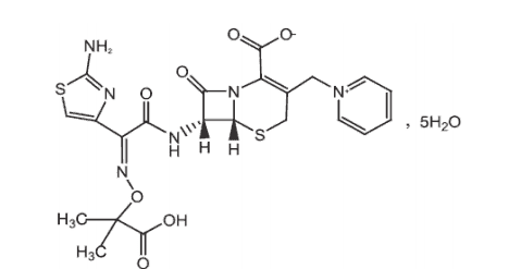 泰得欣(注射用头孢他啶)