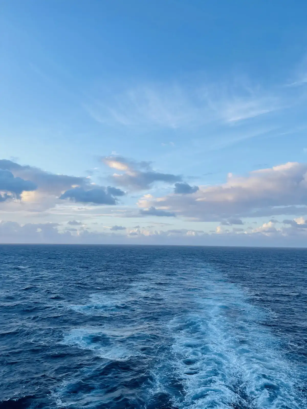 坐着邮轮去旅行