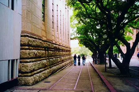 《西行印象》：南非大学拾趣