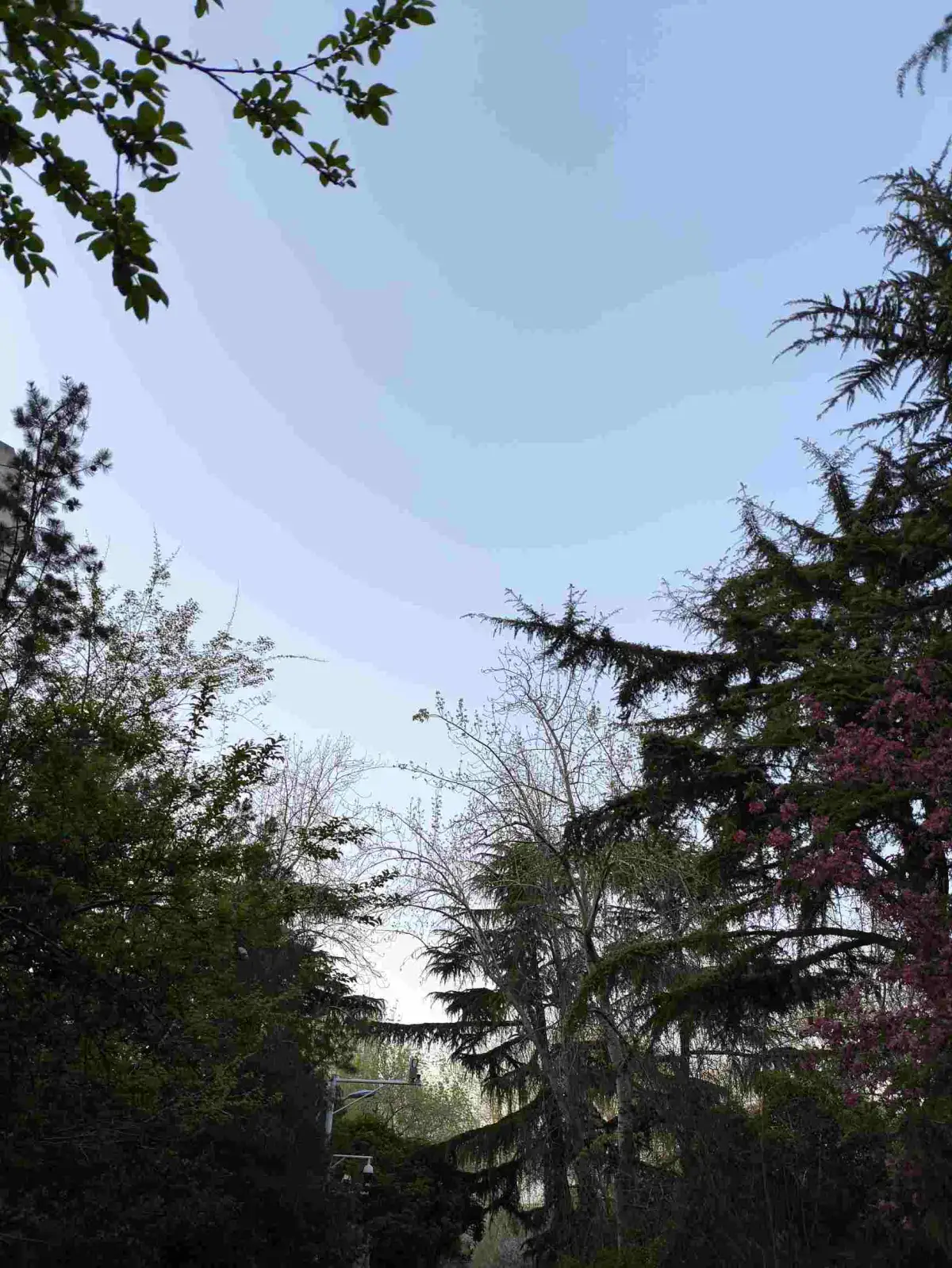 未来需要更多不做大模型的AI应用公司