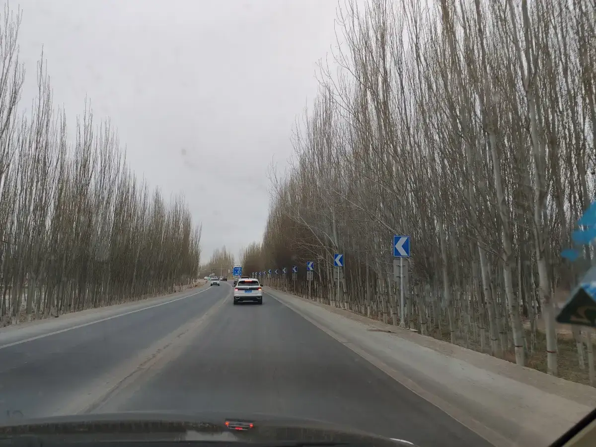 新疆喀什游(第二天)