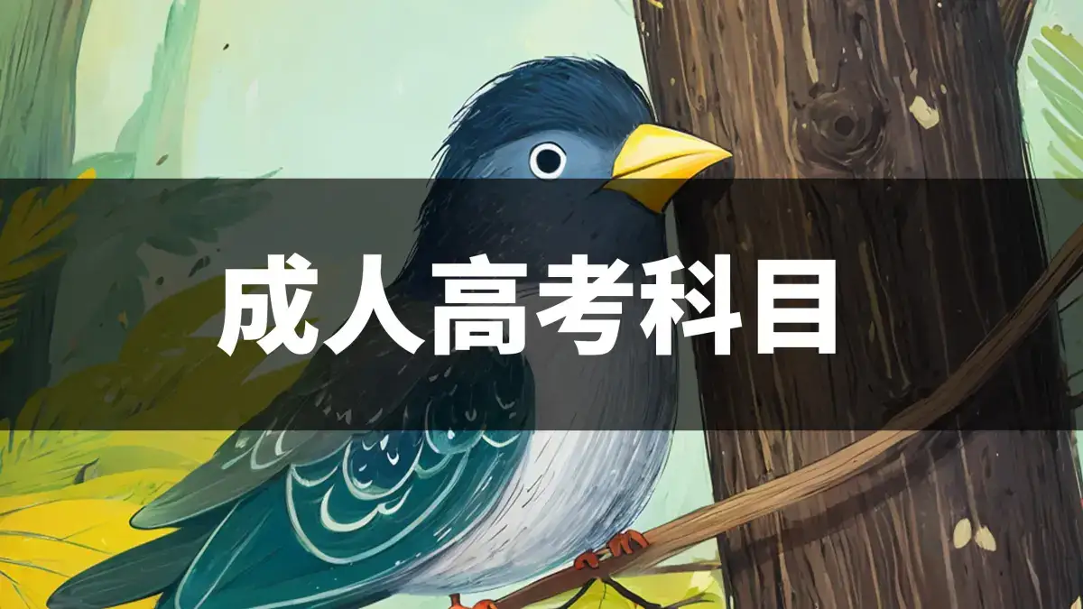 成人高考的科目有哪些?这三种必须了解