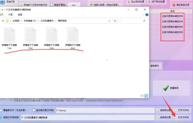 文本编码转换实例解析:带有BOM的UTF-8批量转码全攻略