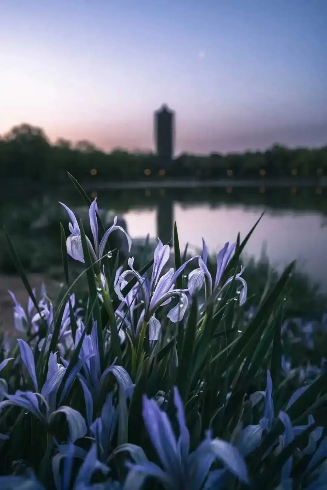 【每天学点营销】五一节通过营销提升品牌价值