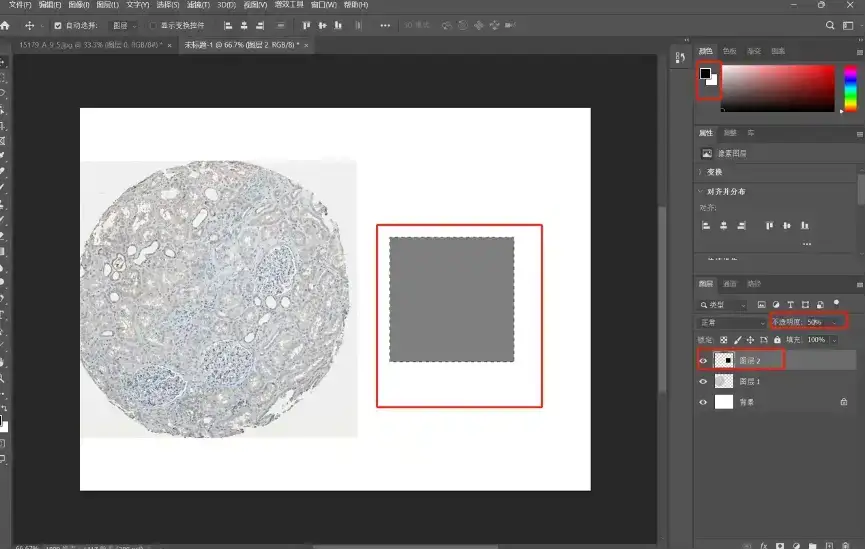 解忧小工具|让HPA验证你的结论,生信文章好帮手