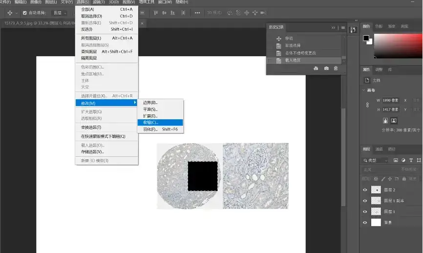 解忧小工具|让HPA验证你的结论,生信文章好帮手