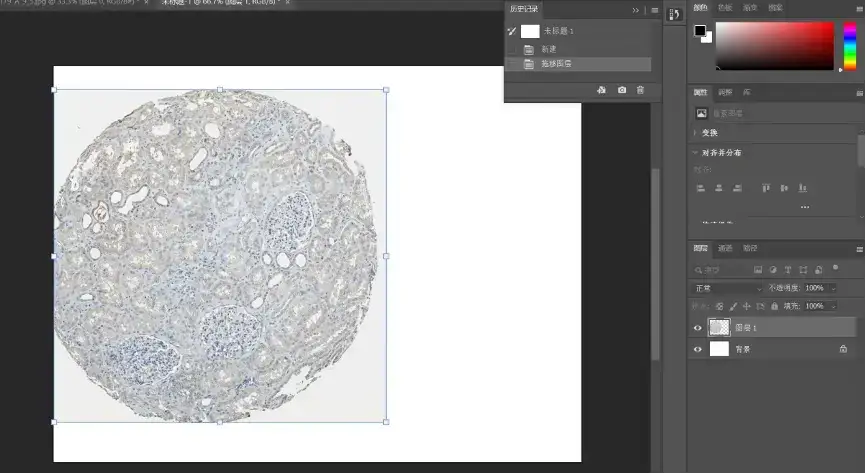 解忧小工具|让HPA验证你的结论,生信文章好帮手