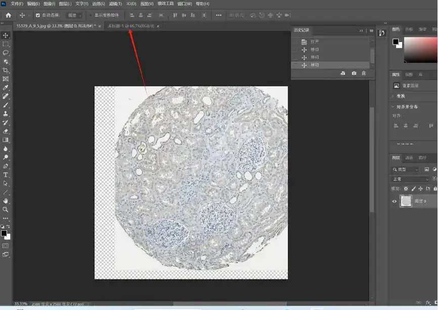 解忧小工具|让HPA验证你的结论,生信文章好帮手