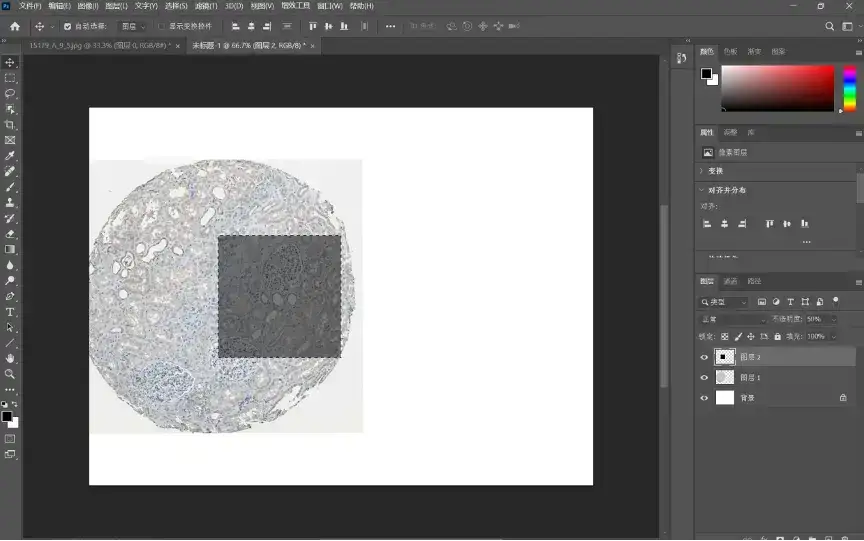 解忧小工具|让HPA验证你的结论,生信文章好帮手