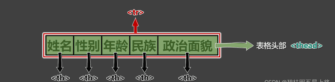 “HTML5 入门教程:从零开始构建现代化网页“