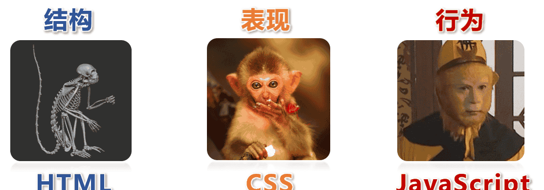 “HTML5 入门教程:从零开始构建现代化网页“