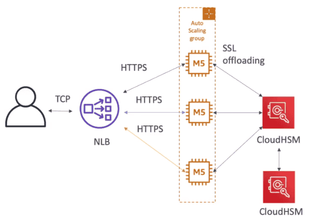 AWS SAP-C02教程6--安全_aws sap c02题库