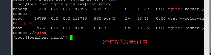 nginx安装详细教程