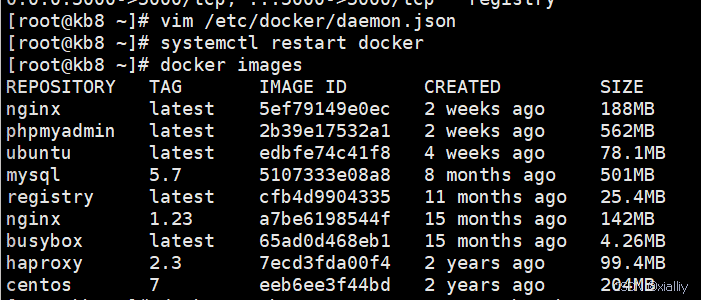 【docker】docker 镜像仓库的管理