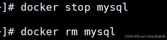 云服务器+docker:还在为项目上线苦恼?一文包你解决(保姆级教程,图文并茂,万字起步!!!)