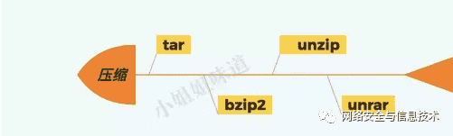 kali linux 新手入坑指南(命令篇)零基础入门到精通,收藏这一篇就够了