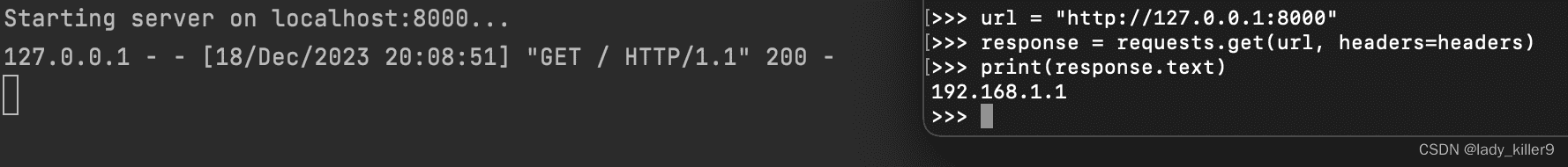 【网络安全】ip获取&伪造与隐藏&挖掘