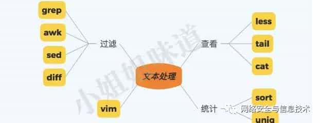 kali linux 新手入坑指南(命令篇)零基础入门到精通,收藏这一篇就够了