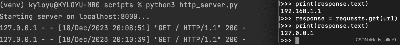 【网络安全】ip获取&伪造与隐藏&挖掘