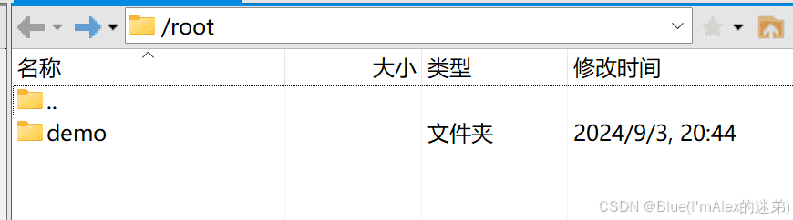 云服务器+docker:还在为项目上线苦恼?一文包你解决(保姆级教程,图文并茂,万字起步!!!)