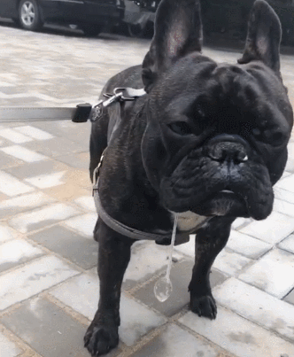 origin图上显示数据标签_教程 | Origin画的，漂亮得垂涎图