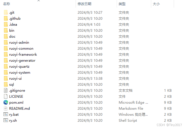 ruoyi若伊项目(vue前后端分离)下载搭建