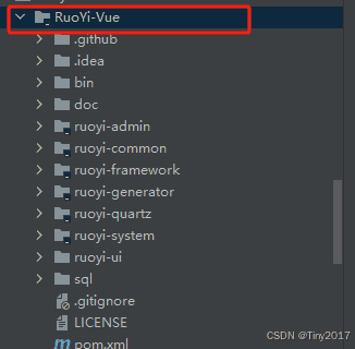 ruoyi若伊项目(vue前后端分离)下载搭建