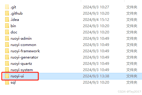 ruoyi若伊项目(vue前后端分离)下载搭建