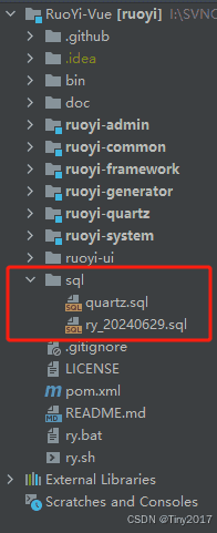 ruoyi若伊项目(vue前后端分离)下载搭建