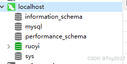 ruoyi若伊项目(vue前后端分离)下载搭建