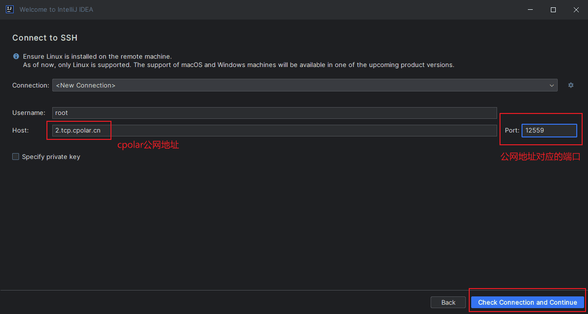 IntelliJ IDEA无公网远程Linux服务器环境开发(建议收藏!)