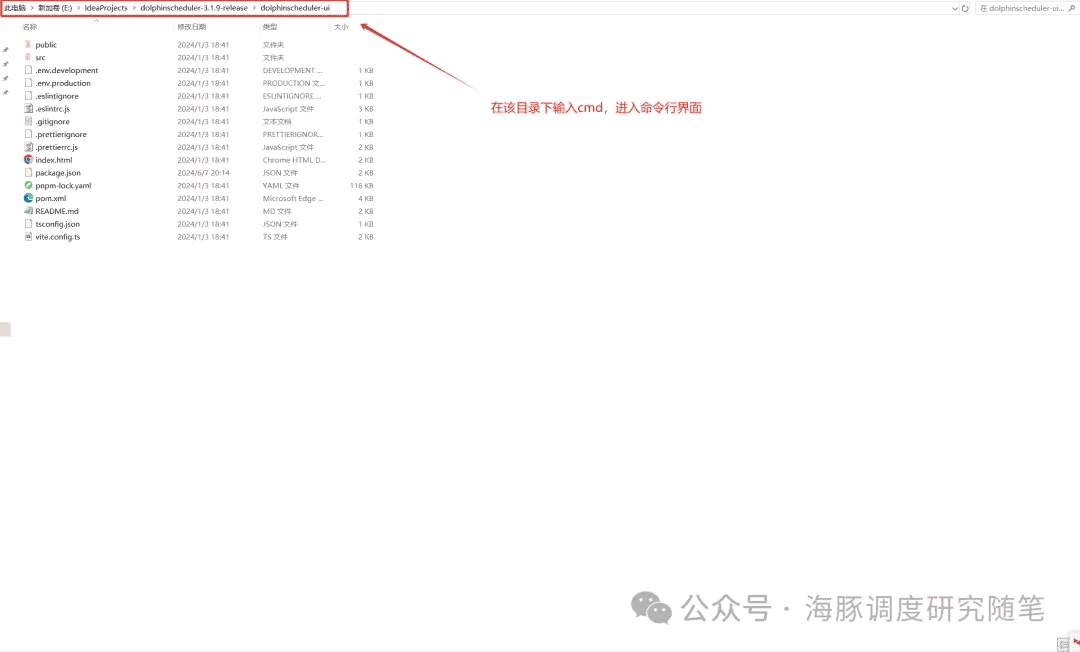 如何在Windows上搭建并运行DolphinScheduler前后端开发环境