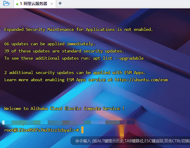 【Acwing-Linux】8.1 租云服务器