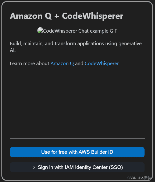2023 re:Invent | Amazon Q 与 Amazon CodeWhisperer 面向企业开发者提效利器