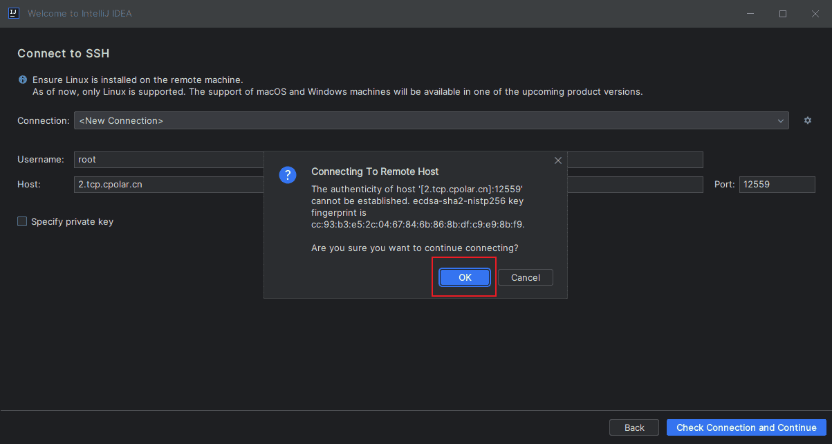 IntelliJ IDEA无公网远程Linux服务器环境开发(建议收藏!)
