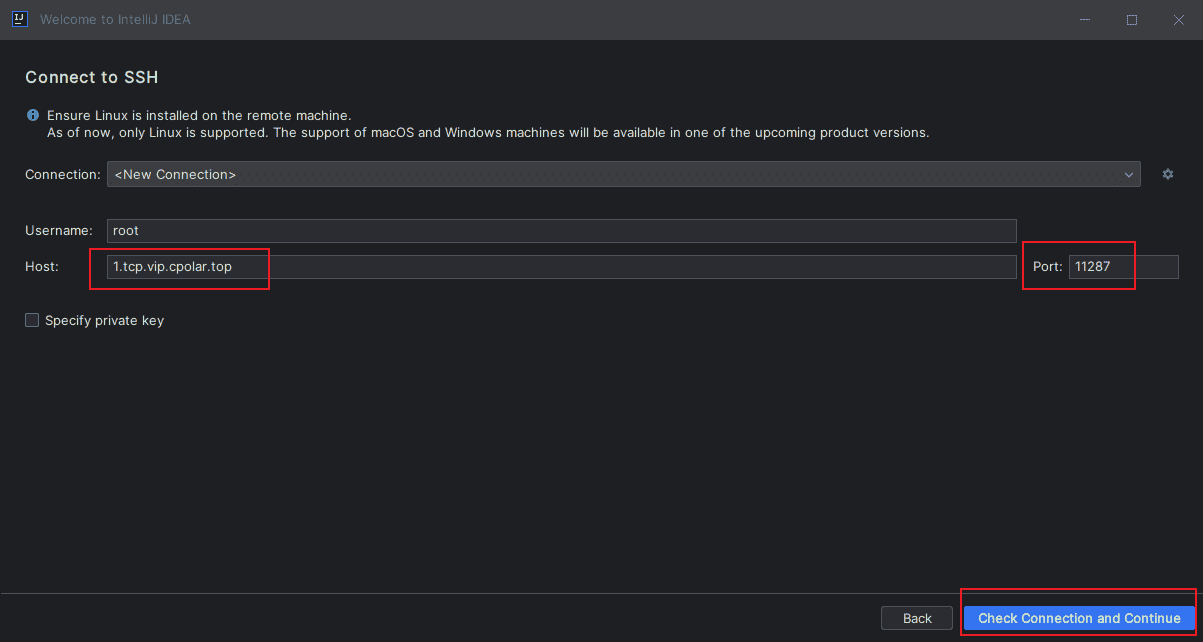 IntelliJ IDEA无公网远程Linux服务器环境开发(建议收藏!)