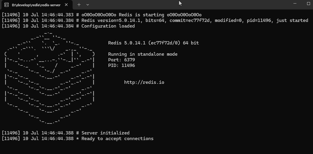 双系统Redis安装保姆级教程