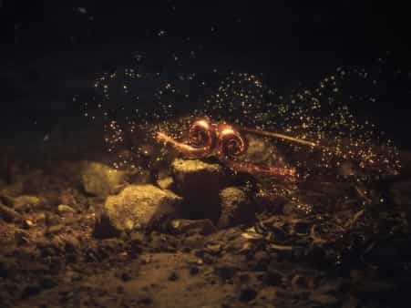 5、VMware三种模式