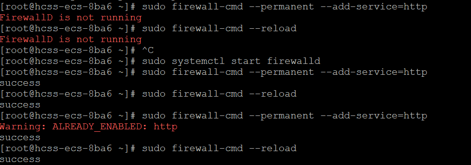 【记录8】华为云耀云服务器L实例-静态网页项目部署