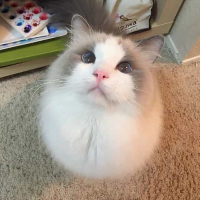 OpenWrt安装配置Tailscale