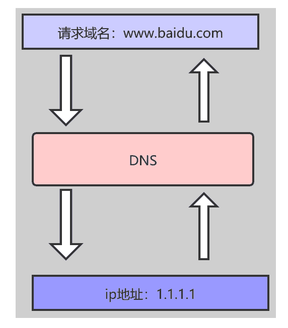 DNS协议 是什么？说说DNS 完整的查询过程?