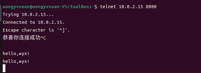 信息安全系统设计与实现课程第十三章学习笔记
