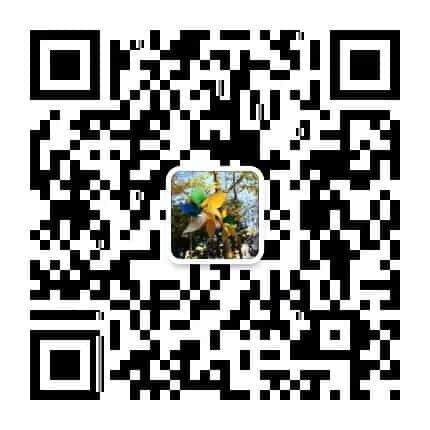 【论文阅读】Surgical Interception Attacks by Manipulatin