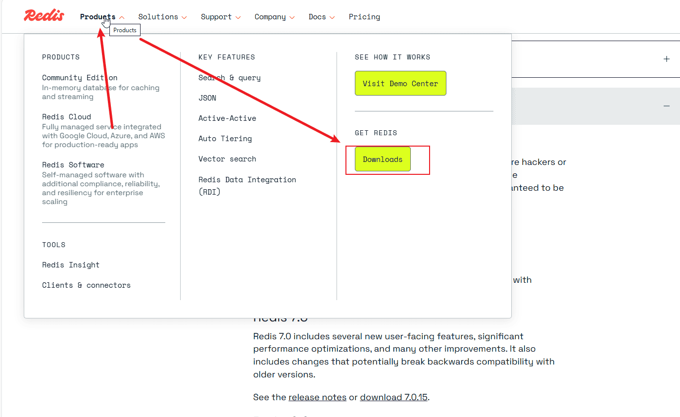 双系统Redis安装保姆级教程