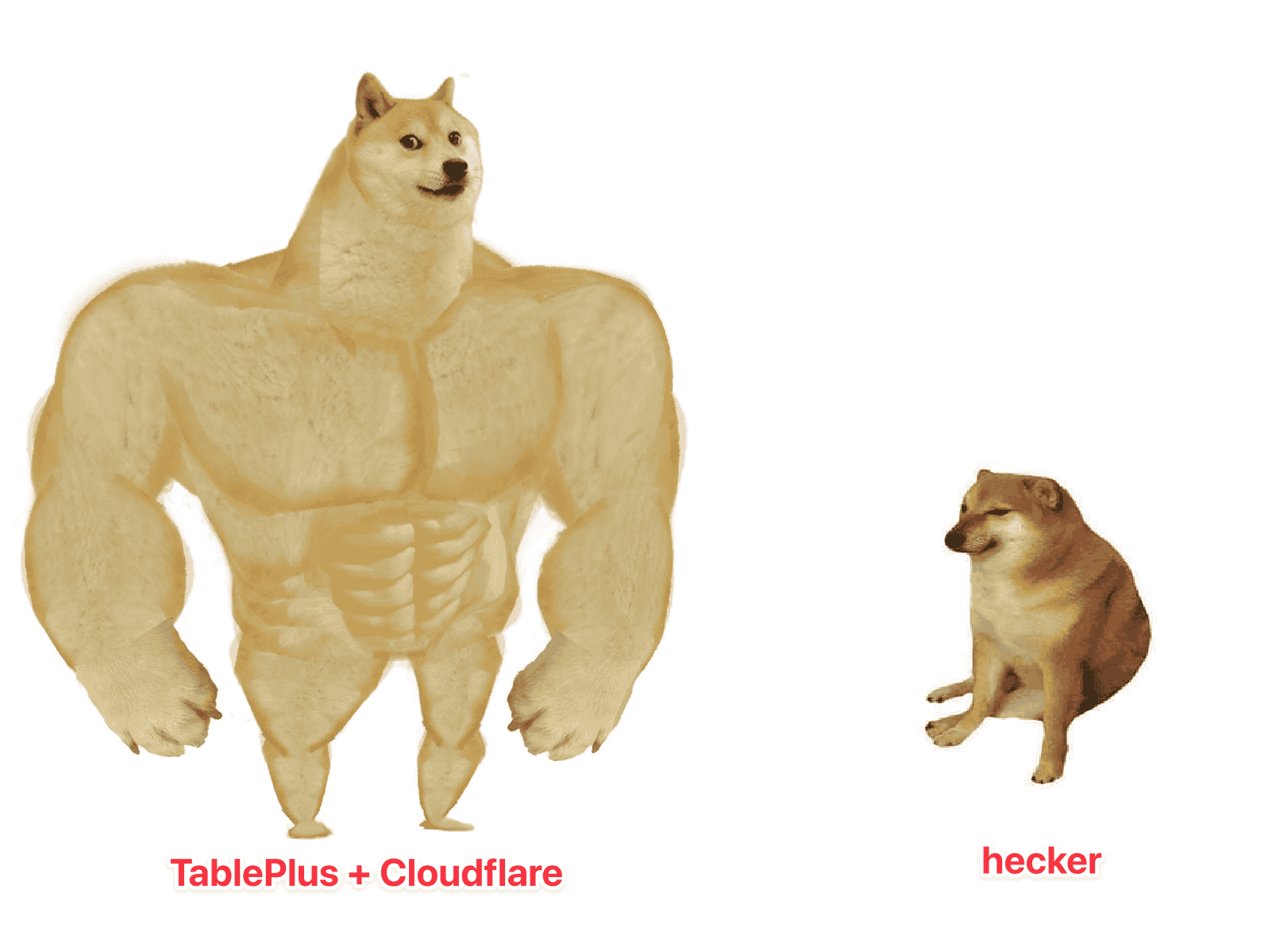 我们正在被 DDoS 攻击,但是我们啥也不干,随便攻击...